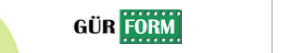 Gür Form · Express Form logosu